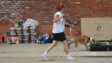 06:50: Pit Bulls & Parolees (S4 E14) (S4) | Animal Planet | 5/30 2026