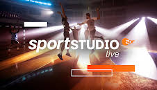 Handball-EM Deutschland - Dänemark Finale