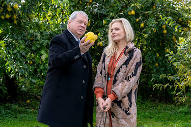 22:00: Der Staatsanwalt | ZDF | 5/9 2026