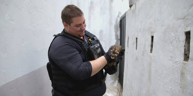 9:00 AM: Cops On The Rock (S1 E10) (S1) | Dave | 12/19 2025