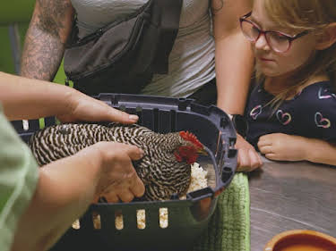 21:15: Die Tier-Docs! Pfotenhelden mit Herz | Sat1 Gold | 8/13 2026