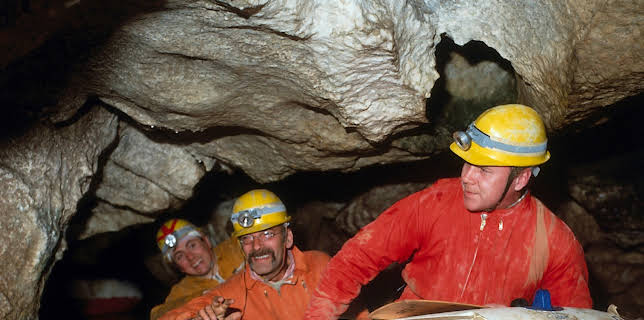 07:50: Löwenzahn Classics | ZDFneo | 2/27 2026