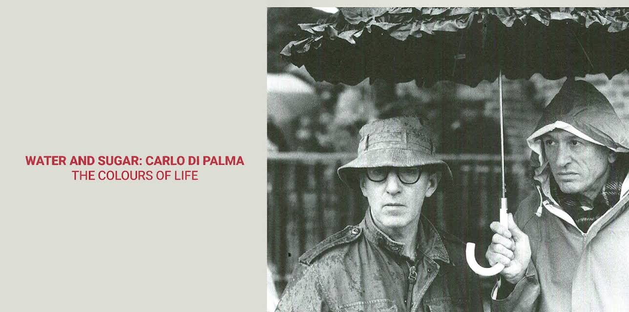 Water and Sugar: Carlo Di Palma, The Colours of Life (2017)