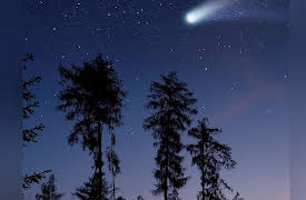 Black Holes, Tides, and Curved Spacetime: Understanding Gravity: Stars in Their Courses--Orbital Mechanics