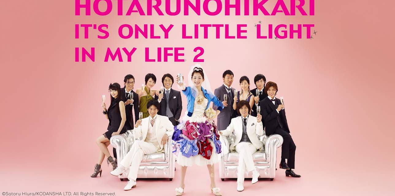 HOTARUNOHIKARI: IT'S ONLY A LITTLE LIGHT IN MY LIFE