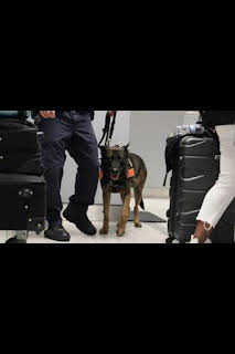 03:05: Especial Alerta Aeropuerto: Brasil: Incautaciones sorprendentes | National Geographic | 8/28 2026