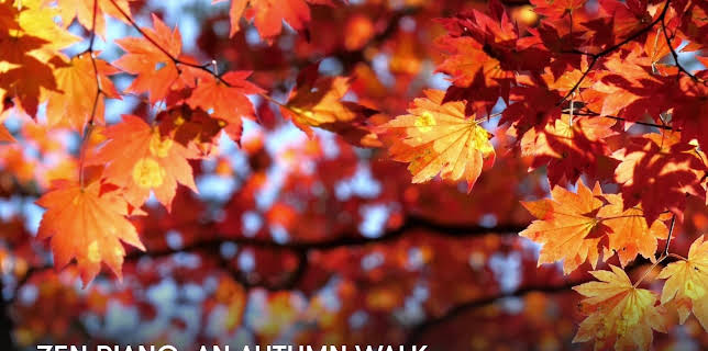 Zen Piano: An Autumn Walk (2023)