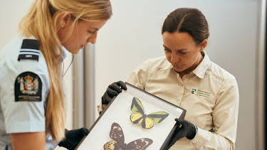 01:55: Border Patrol New Zealand | ProSieben Maxx | 4/27 2026