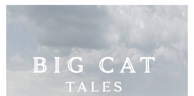 Big Cat Tales