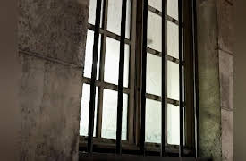 Crime Time Solvers: An Almost Perfect Crime