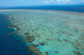 Planet Earth: Episode 8