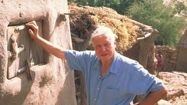 5:00 PM: The Life of Mammals (S1 E10) (S1) | Yesterday | 12/21 2025