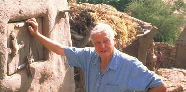 4:00 PM: The Life of Mammals (S1 E10) (S1) | Yesterday | 12/21 2025