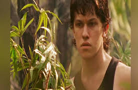 Fireflies: Fighting Fire With Fire