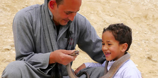 14:50: An den Ufern des Nil (3/3) | 3SAT | 1/15 2026