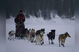 Toughest Race on Earth: Iditarod: Surviving the Alaska Range