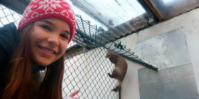 07:20: Anna und die wilden Tiere | Das Erste | 1/3 2026