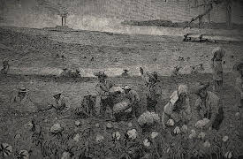 America's Hidden Stories: Forged in Slavery