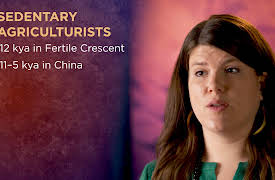 Early Humans: Ice, Stone, and Survival: Was Agriculture a Revolution or an Accident?