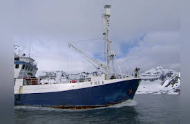 The Polar Bear Family and Me Season 1: Polar Bear Family and Me