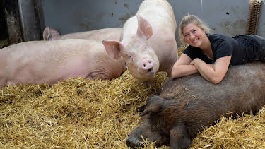 20:15: Land & lecker | WDR Fernsehen | 8/31 2026