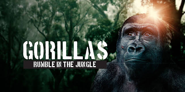 Gorillas Rumble In The Jungle (2020)