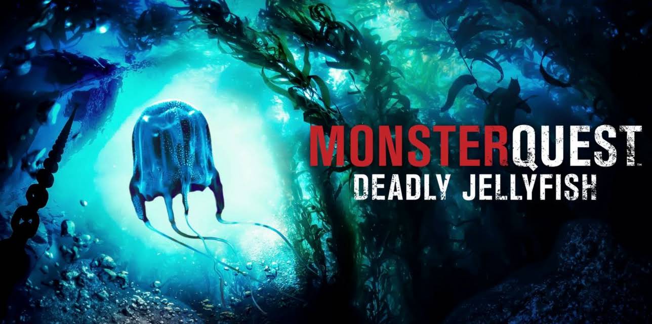 MonsterQuest: Deadly Jellyfish