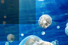 Great Migrations: Spise godt eller sulte