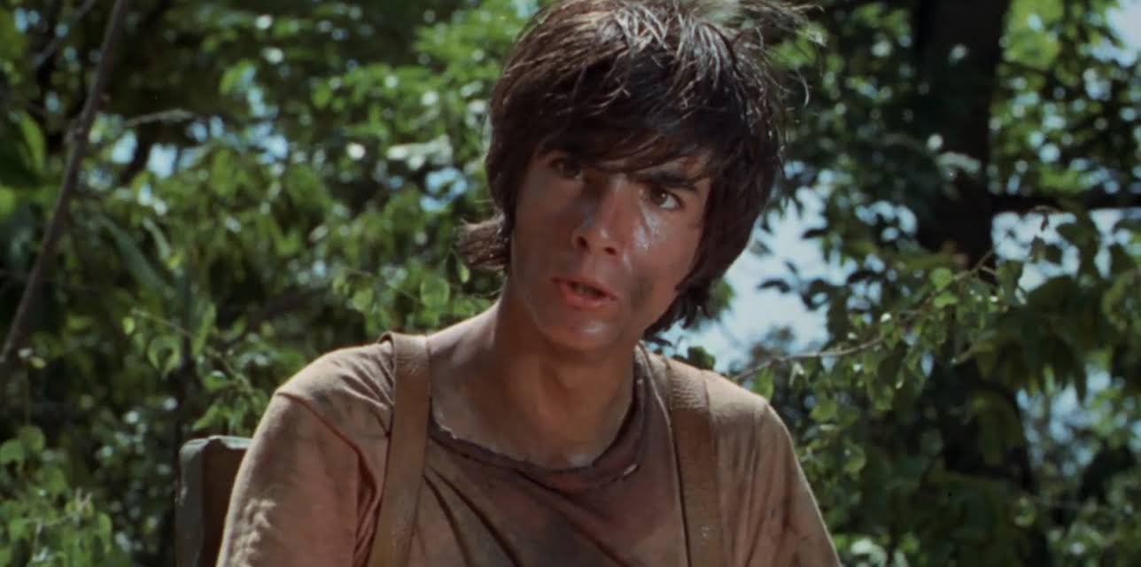 Hornets' Nest (1970)