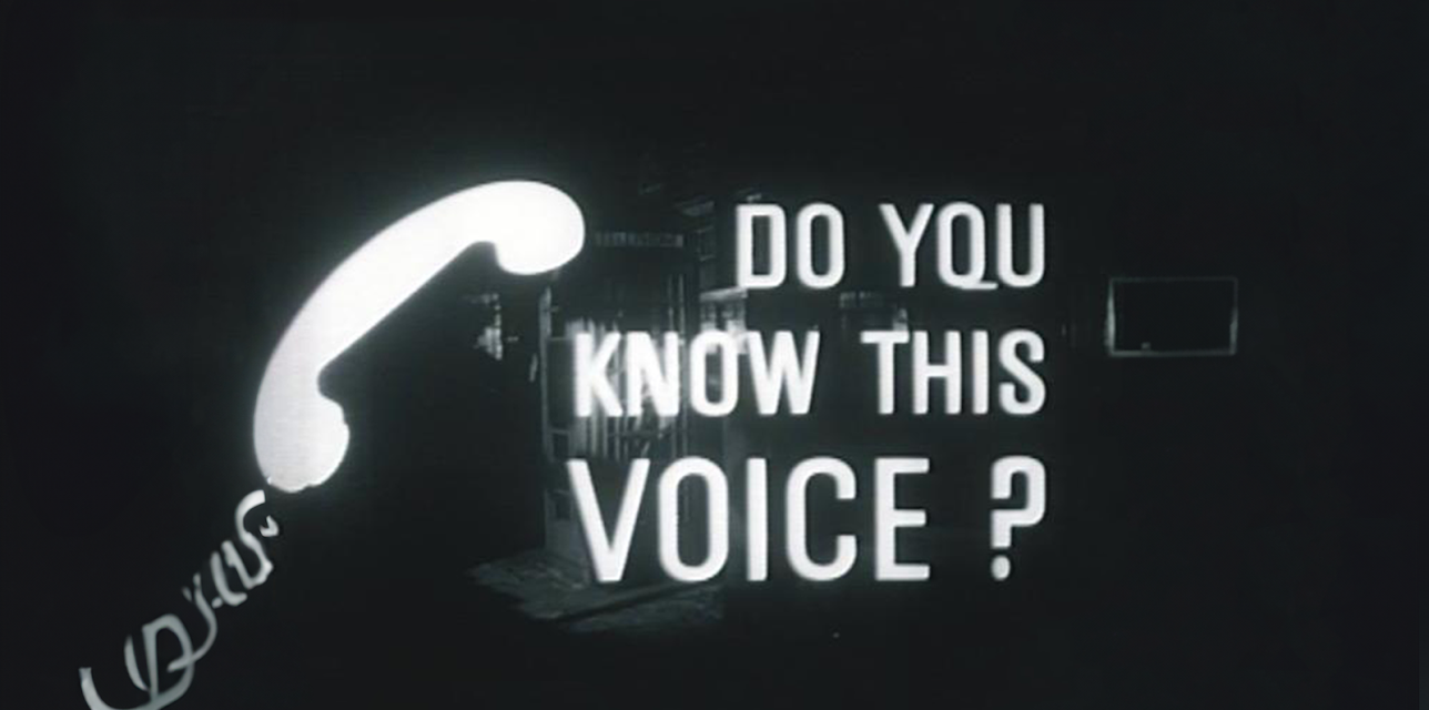 Do You Know This Voice? (1964)