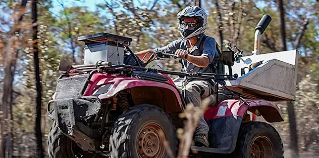 14:05: Australian Gold - Schatzsuche Down Under | Kabel Eins Doku | 1/21 2026