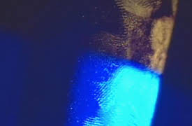 Exhibit A: Secrets of Forensic Science: Trace of Paranoia