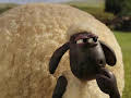 Shaun, das Schaf