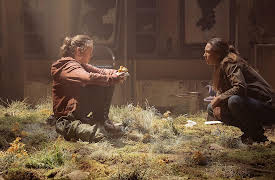 The Last of Us: Infected