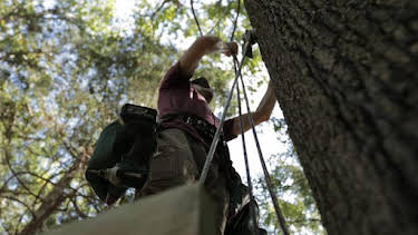 9:00 AM: Treehouse Masters (S6) | Discovery Channel | 6/4 2026