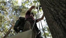 Treehouse Masters