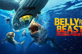 Belly of the Beast: Feeding Frenzy: Belly of the Beast