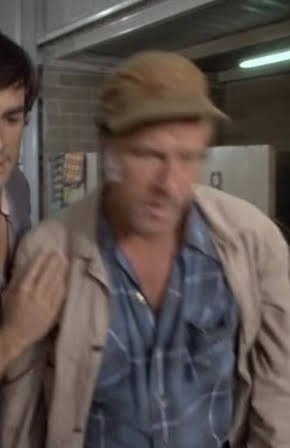 John David Carson as 