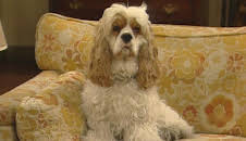 Våra värsta år (S10 E15)