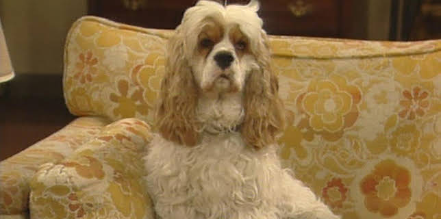 06:30: Våra värsta år (S10 E15) (S10) | TV6 | 1/29 2026