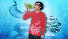 Quarks: Gesunder Darm - gesunde Psyche? Was die Wissenschaft über unser Mikrobiom weiß