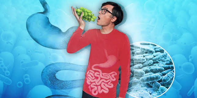 16:30: Quarks: Gesunder Darm - gesunde Psyche? Was die Wissenschaft über unser Mikrobiom weiß | Radio Bremen | 1/31 2026