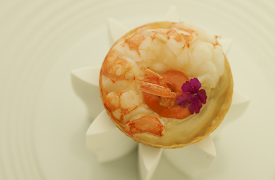 Wild capture: Wild Catch 6