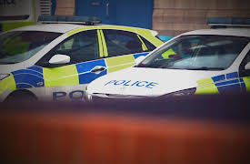 Big Little Crimes Season 1: Armed Robbery