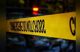 Dead of Night Season 1: Panic Room