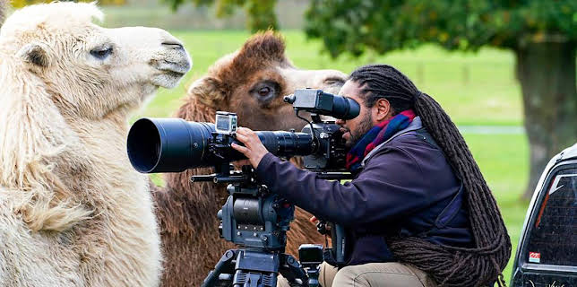 10:45 AM: Animal Park | BBC One | 12/16 2025