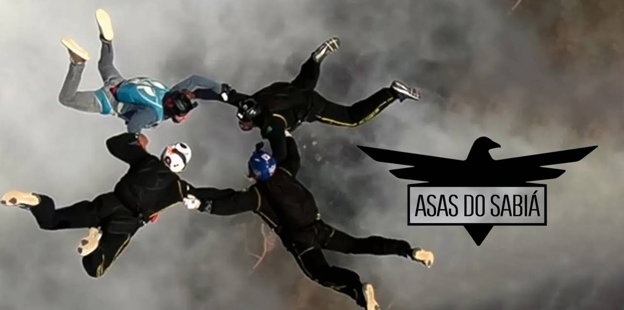Asas do Sabiá