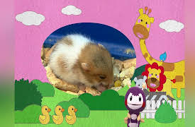 Momo Meets Animals, Season 1: Momo Meets Animals, Season 1, Episode 3