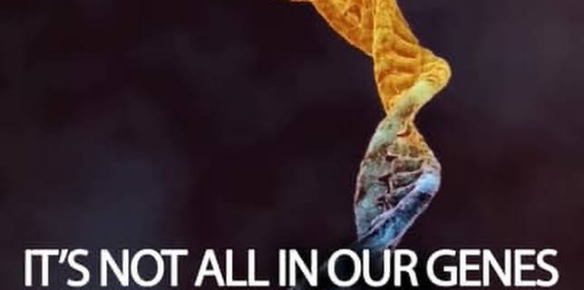 It's Not All In Our Genes (2019)