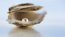 Hvordan gjør de det? (S15 E20)